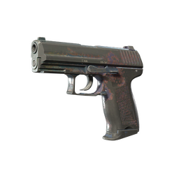 P2000 | Coral Halftone (Battle-Scarred)