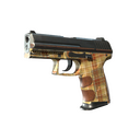 P2000 | Coach Class (Field-Tested)