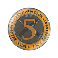 5 Year Veteran Coin