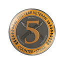5 Year Veteran Coin