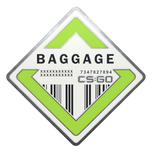 Imagem Baggage Pin