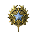 2020 Service Medal