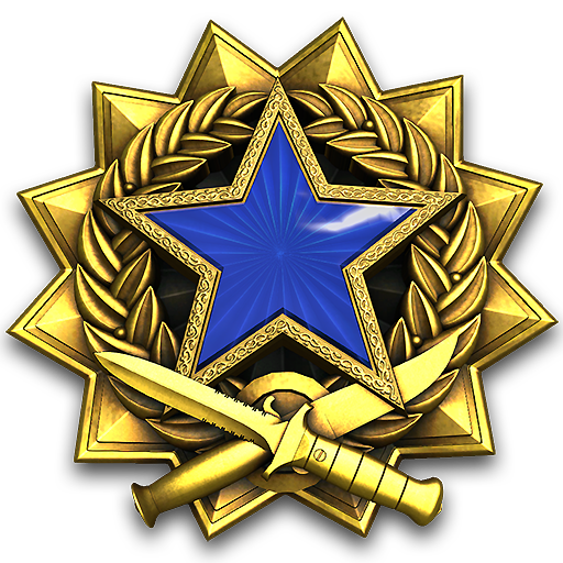 2017 Service Medal