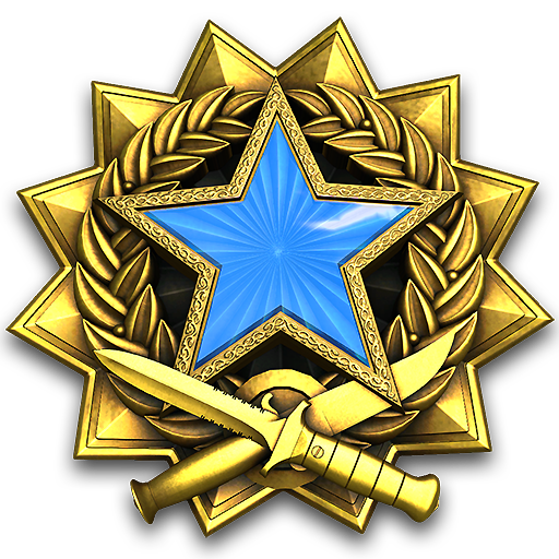 2017 Service Medal