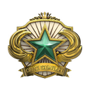 2018 Service Medal