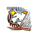 Sticker | Virtus.pro (Foil) | 2020 RMR