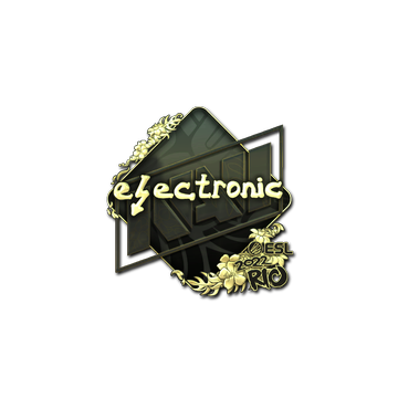 Electronic csgo shop steam