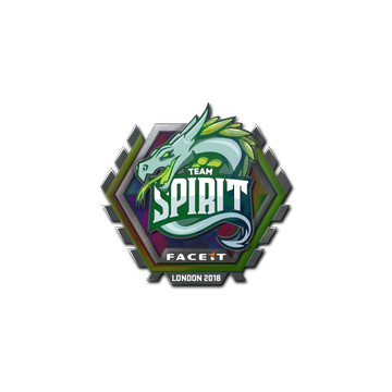 Team Spirit Stickers for Sale