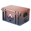 Dreams & Nightmares Case