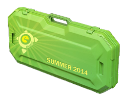 eSports 2014 Summer Case