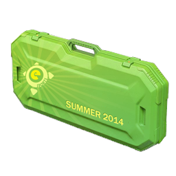 eSports 2014 Summer Case image