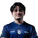 Insania  Player Sticker - TI 2024