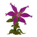 Pod