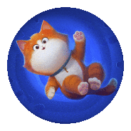 Cat in Time Vortex