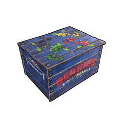 Скин Organic Berry Box