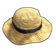 Farmer straw deals hats for sale