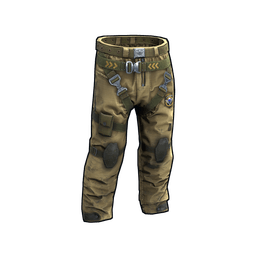 Скин Airman Pants