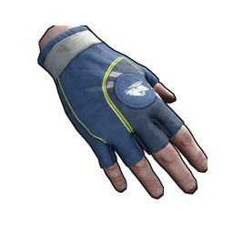 Скин CCSC Gloves