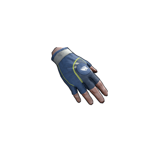 Скин CCSC Gloves в Rust