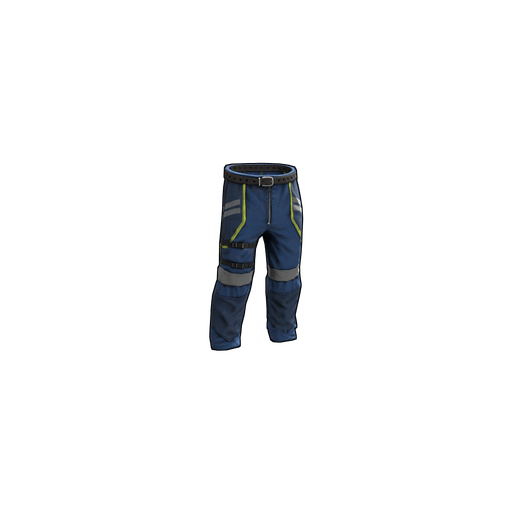 Скин CCSC Pants в Rust