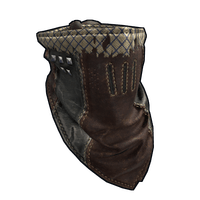 Road Raider Bandana