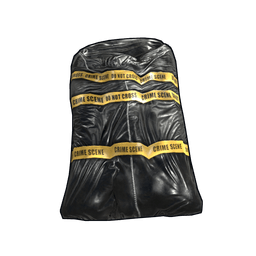 Скин Crime Bag