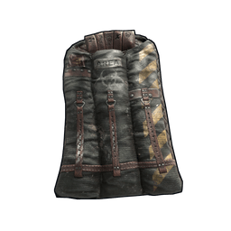 Скин Survivor Bag
