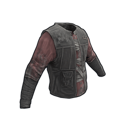 Скин Rioter's Jacket