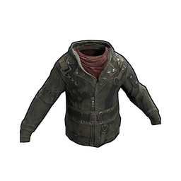 Скин Regulator's Hoodie