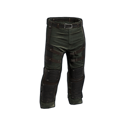 Скин Army Armored Pants