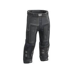 Скин Arctic Wolf Pants