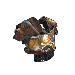 Скин Raider Roadsign Vest