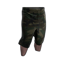 Camo Shorts