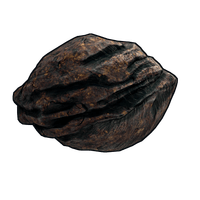 Meteorite