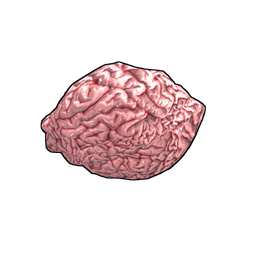 Скин Fresh Brain