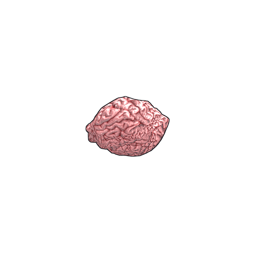 Скин Fresh Brain в Rust
