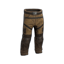 Скин Desert Conqueror Pants