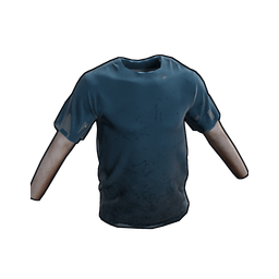 Blue Tshirt