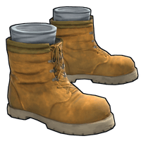 Tan Boots