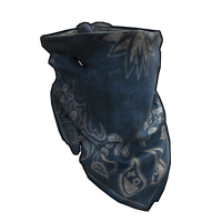 Blue Bandana