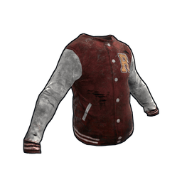 Скин Varsity Jacket