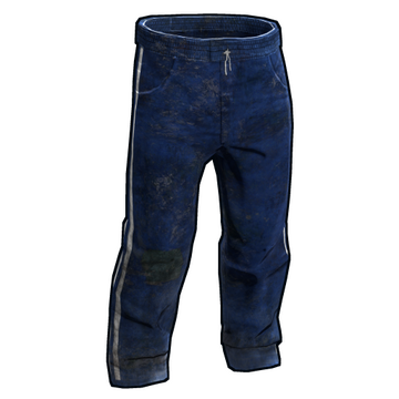 Blue best sale track pant