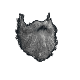Скин Santa Beard