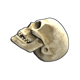 Скин Skull