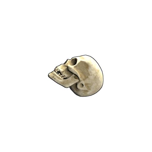Скин Skull в Rust