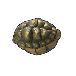 Скин Tortoise Rock