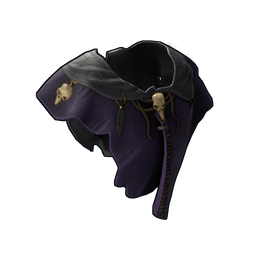 Скин Witch Hide Poncho