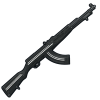 Training SKS 2.0 image