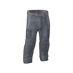 Скин Island Assault Team Pants