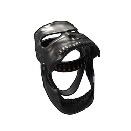 Скин Funerary Helmet